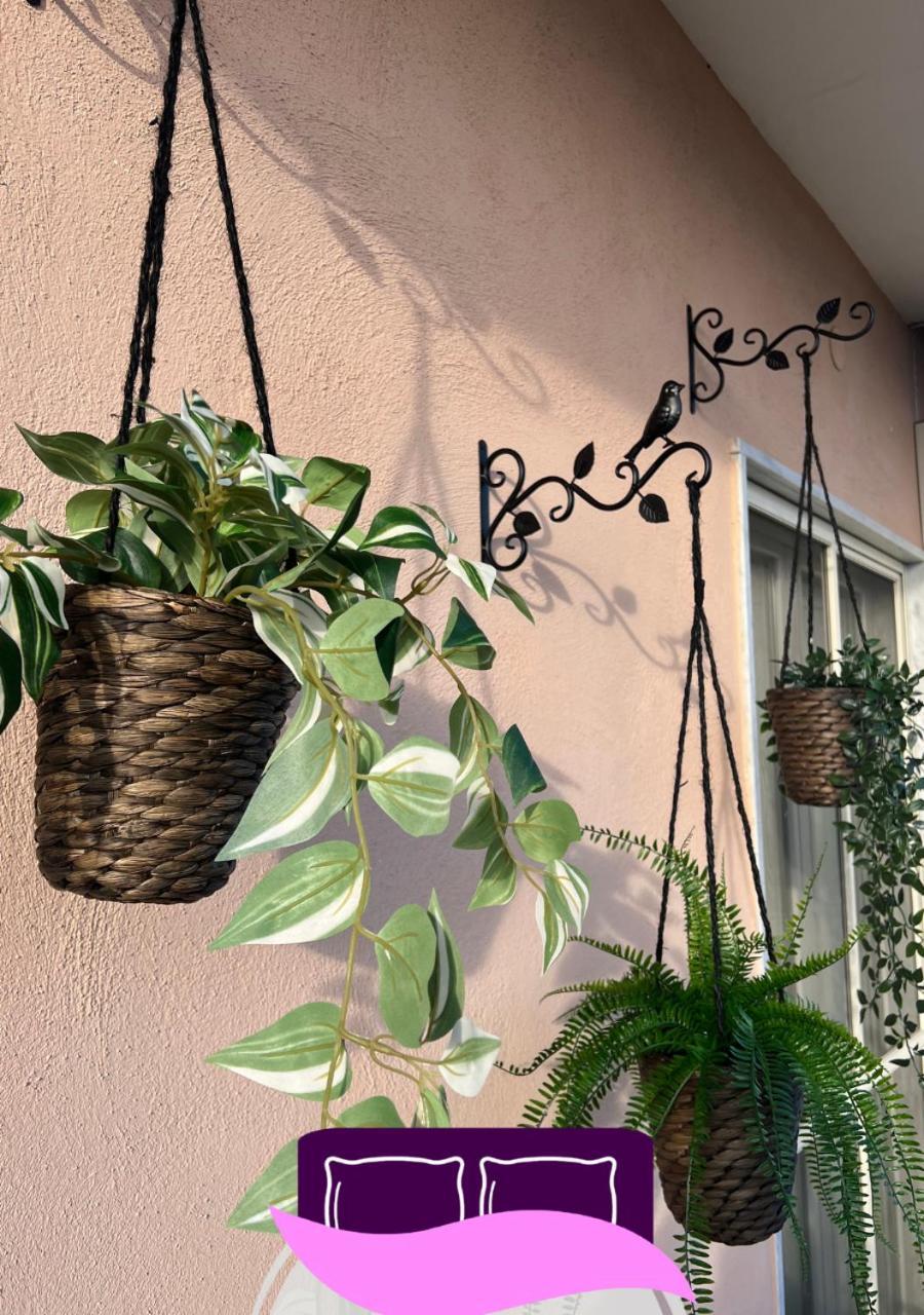 B&B Anastasia Pompei Exterior photo